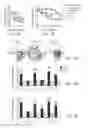 Fig. 02 - Agents that reduce neuronal overexcitation