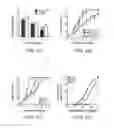 Fig. 05 - Agents that reduce neuronal overexcitation