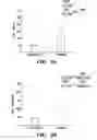 Fig. 04 - METHODS FOR MAKING EMBRYONIC CELLS, EMBRYOS, AND ANIMALS SENSITIZED TO STRESS