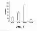 Fig. 07 - METHODS FOR MAKING EMBRYONIC CELLS, EMBRYOS, AND ANIMALS SENSITIZED TO STRESS