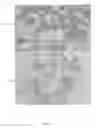 Fig. 04 - Compositions and methods for rapid and efficient production of quality protein maize