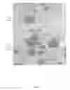 Fig. 06 - Compositions and methods for rapid and efficient production of quality protein maize
