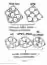 Fig. 14 - Compositions and methods for rapid and efficient production of quality protein maize
