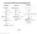 Fig. 16 - Compositions and methods for rapid and efficient production of quality protein maize