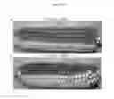 Fig. 20 - Compositions and methods for rapid and efficient production of quality protein maize