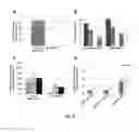 Fig. 10 - SOYBEAN TRANSCRIPTION FACTORS AND OTHER GENES AND METHODS OF THEIR USE