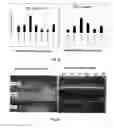 Fig. 201 - SOYBEAN TRANSCRIPTION FACTORS AND OTHER GENES AND METHODS OF THEIR USE