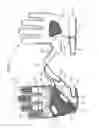 Fig. 02 - POCKET CONFIGURATION FOR STORAGE ON ATHLETIC EQUIPMENT
