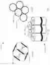Fig. 08 - Foam spring mattress with replaceable foam springs