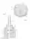 Fig. 07 - Dental cleaning device