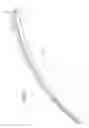 Fig. 02 - WIPER BLADE
