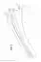 Fig. 06 - WIPER BLADE