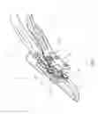 Fig. 02 - Garden shears that avoid loosening of a shaft pin