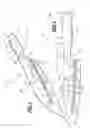 Fig. 02 - Cutlery Implement with Release Bumps