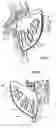 Fig. 07 - OSCILLATING BLADE IMPROVEMENT