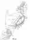 Fig. 21 - Article of footwear with decoupled upper