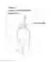 Fig. 03 - Pant Leg Protector Insole