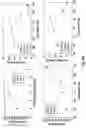 Fig. 11 - Fluid catalytic cracking of oxygenated compounds