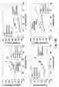 Fig. 24 - Fluid catalytic cracking of oxygenated compounds
