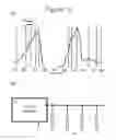 Fig. 04 - SPECTURAL SPECIFIC HORTICULTURE APPARATUS
