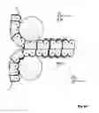 Fig. 06 - Non-back-bending chain