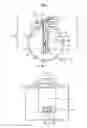 Fig. 02 - Sensor Structure