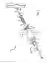 Fig. 03 - Robust nose torque-limiting device