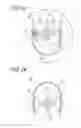 Fig. 17 - LIGHTING AND AIR CLEANING DEVICE