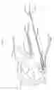 Fig. 04 - Watercraft