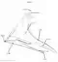 Fig. 12 - Watercraft