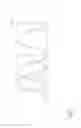 Fig. 06 - CAMSHAFT ARRANGEMENT