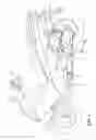 Fig. 02 - ROCKER ARM STRUCTURE