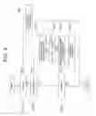 Fig. 06 - Engine starting device