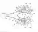 Fig. 01 - Compressible Cosmetic Applicator
