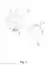 Fig. 02 - APPARATUS FOR CLEANING A PAINTING TOOL