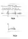 Fig. 05 - METHOD FOR GENERATING MARKED BATCHES OF WATER