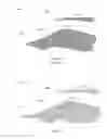 Fig. 08 - Isentropic compression inlet for supersonic aircraft