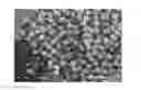 Fig. 01 - SUSPENSIONS OF HEXANITROHEXAAZAISOWURTZITANE CRYSTALS, PRODUCTION OF SAID SUSPENSIONS AND PRODUCTION OF PYROTECHNIC OBJECTS