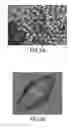 Fig. 03 - SUSPENSIONS OF HEXANITROHEXAAZAISOWURTZITANE CRYSTALS, PRODUCTION OF SAID SUSPENSIONS AND PRODUCTION OF PYROTECHNIC OBJECTS