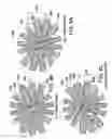 Fig. 07 - COMPOSITE ARTICLES AND METHODS FOR MAKING THE SAME