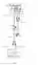 Fig. 08 - Window assembly