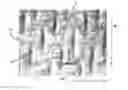 Fig. 01 - Fabric-creped absorbent cellulosic sheet having a variable local basis weight