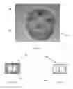 Fig. 03 - SAND ADDITIVES FOR MOLDS/CORES FOR METAL CASTING