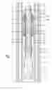 Fig. 03 - Consumable downhole tool