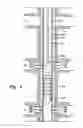 Fig. 05 - Consumable downhole tool