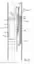 Fig. 04 - Completion assembly