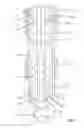 Fig. 09 - Method for removing a consumable downhole tool