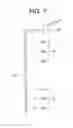 Fig. 08 - ELEVATOR APPARATUS