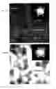 Fig. 06 - Titanate / titania composite nanoparticle