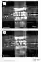 Fig. 14 - Microfluidic system and method for assembling and for subsequently cultivating, and subsequent analysis of complex cell arrangements